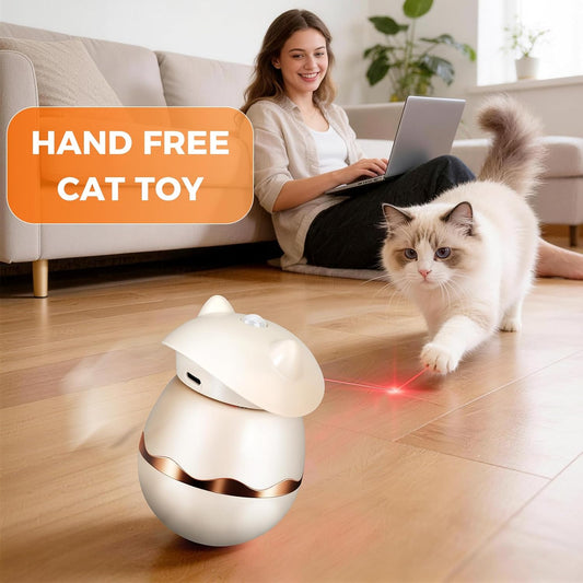 Magic Motion Cat Laser Toy