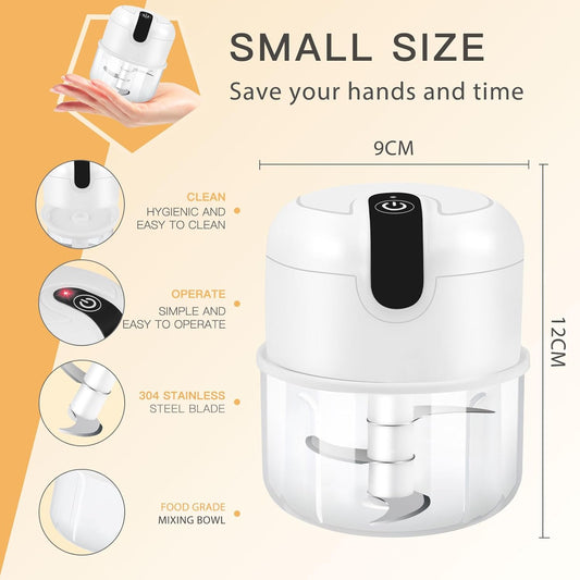 QuickChop Mini Food Processor