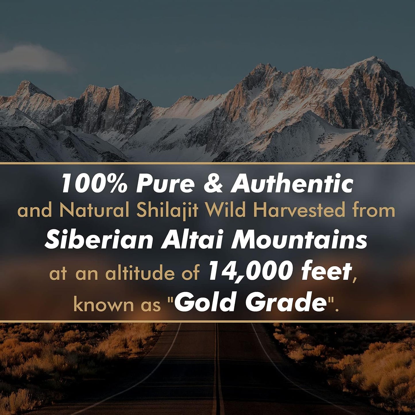 Siberian Energy Boost Gel