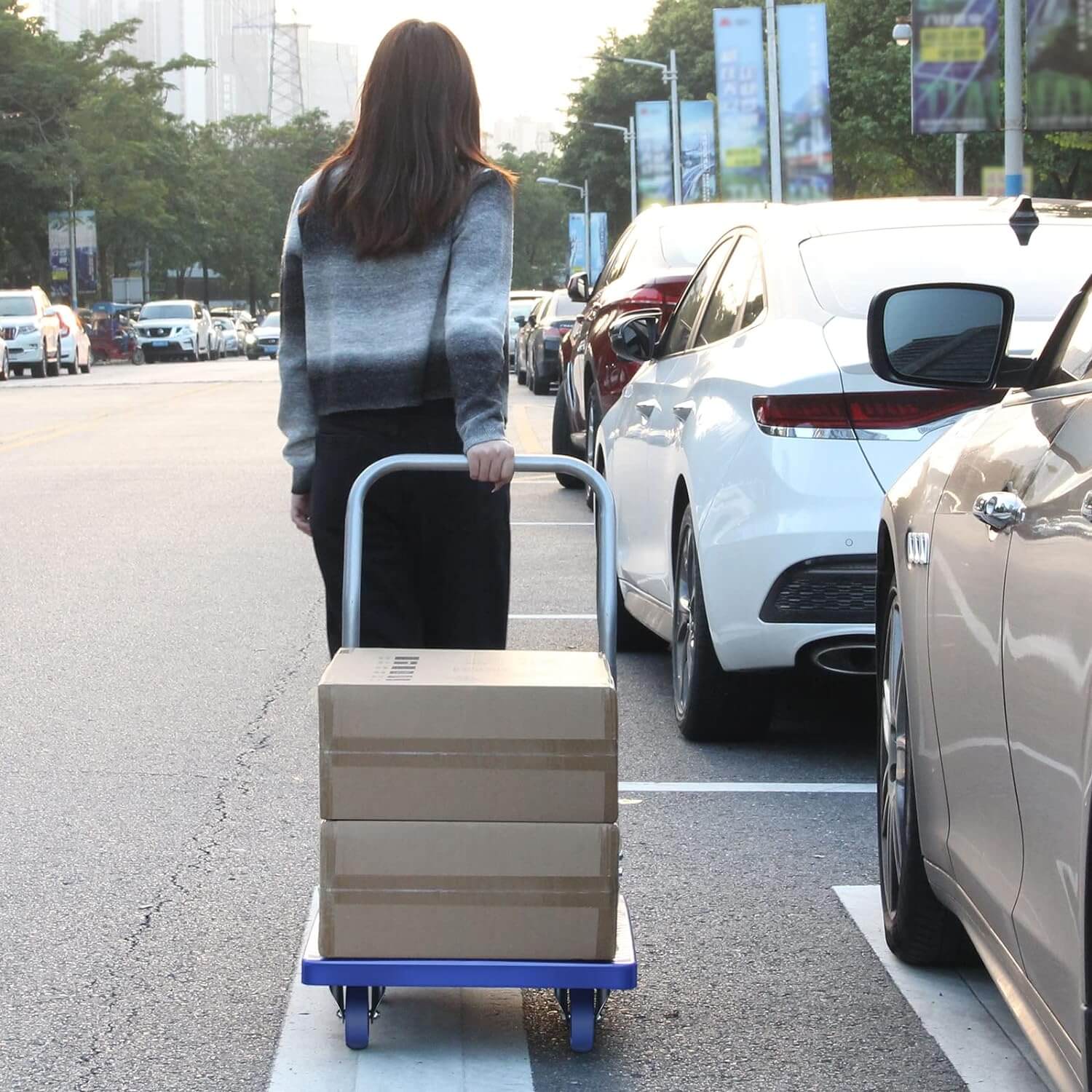 https://cdn.shopify.com/s/files/1/0599/8821/3889/files/7d2c3f7c-180kg-Heavy-Weight-King-Single-Platform-Trolley-50x70cm.jpg?v=1768538531