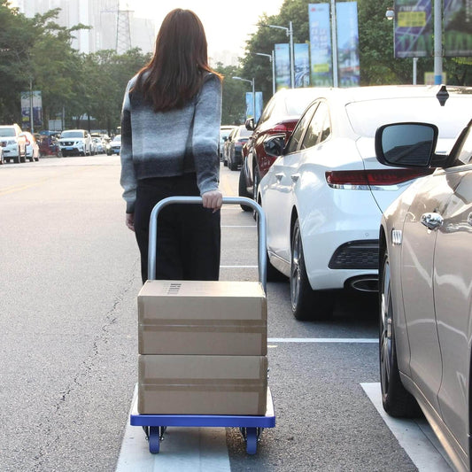https://cdn.shopify.com/s/files/1/0599/8821/3889/files/7d2c3f7c-180kg-Heavy-Weight-King-Single-Platform-Trolley-50x70cm.jpg?v=1768538531