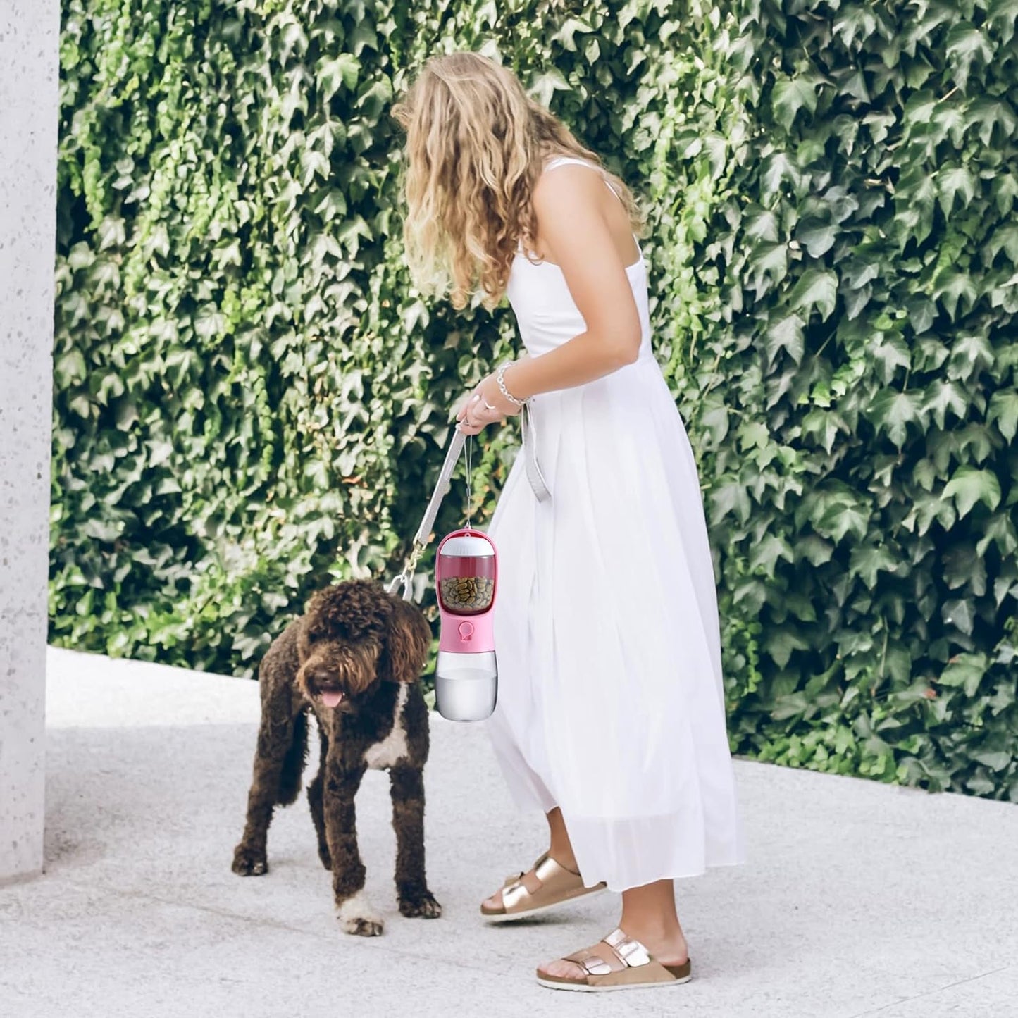 Pawsome Travel Pet Essentials