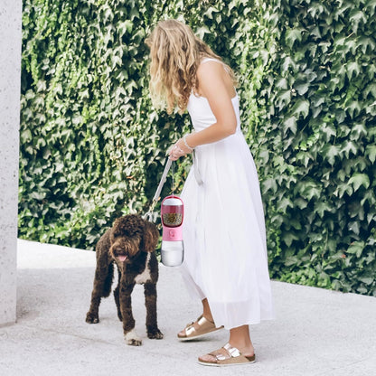 Pawsome Travel Pet Essentials