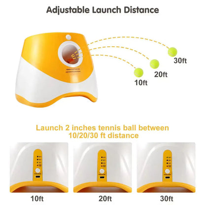 Ultimate Dog Ball Launcher