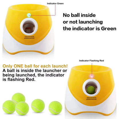 Ultimate Dog Ball Launcher