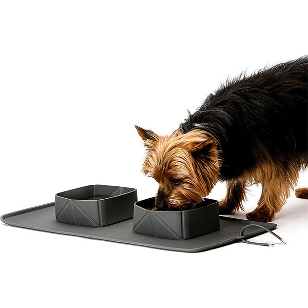 https://cdn.shopify.com/s/files/1/0715/8009/0681/products/Foldable_Pet_Bowl_Perfect_Dealz2__20874.1663755626.1280.1280.jpg?v=1674669143