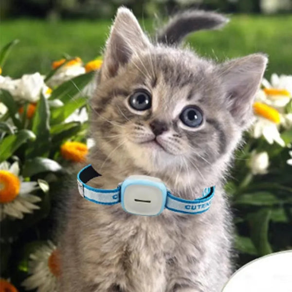 Pet Tracker with GPS