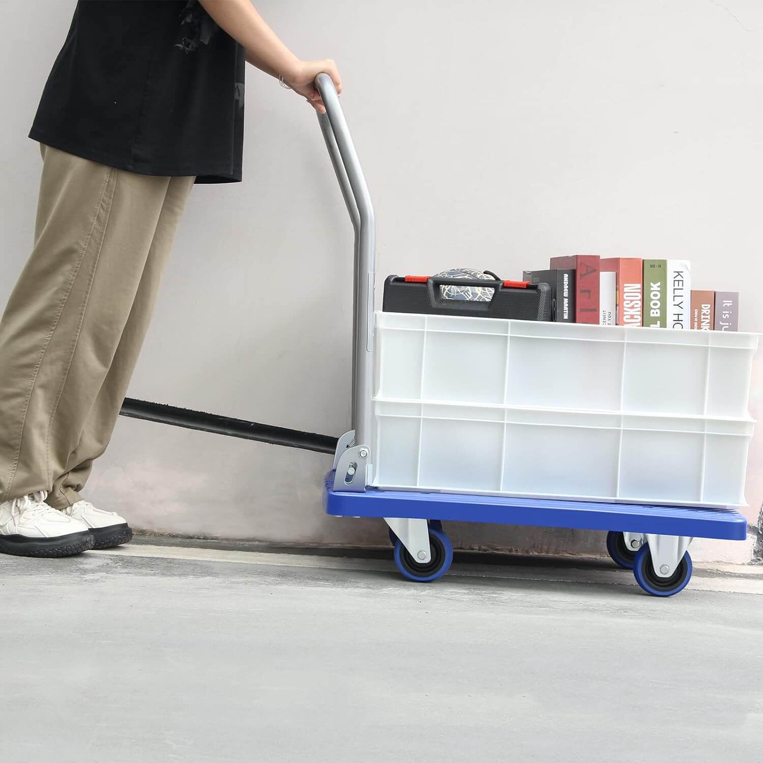 https://cdn.shopify.com/s/files/1/0599/8821/3889/files/bcb1fb22-180kg-Heavy-Weight-King-Single-Platform-Trolley-50x70cm-4.jpg?v=1768538531