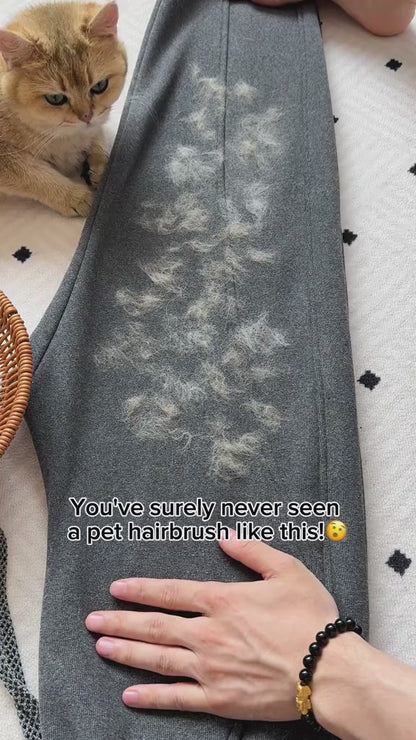 Pet Hair Magic Gloves